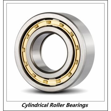 1.25 Inch | 31.75 Millimeter x 2 Inch | 50.8 Millimeter x 1 Inch | 25.4 Millimeter  CONSOLIDATED BEARING 96716  Cylindrical Roller Bearings