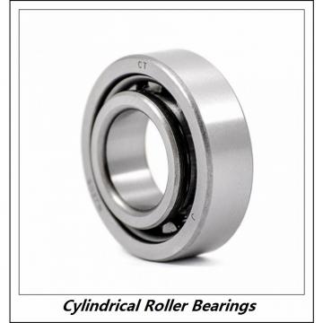 1 Inch | 25.4 Millimeter x 1.75 Inch | 44.45 Millimeter x 4 Inch | 101.6 Millimeter  CONSOLIDATED BEARING 96564  Cylindrical Roller Bearings