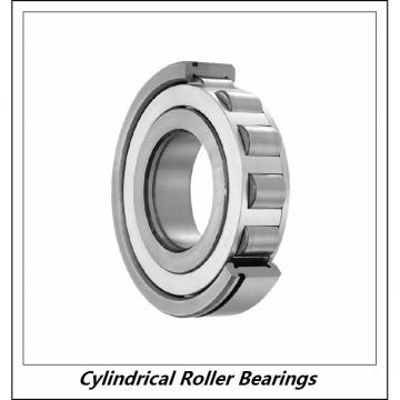 1 Inch | 25.4 Millimeter x 1.625 Inch | 41.275 Millimeter x 1.25 Inch | 31.75 Millimeter  CONSOLIDATED BEARING 95520  Cylindrical Roller Bearings