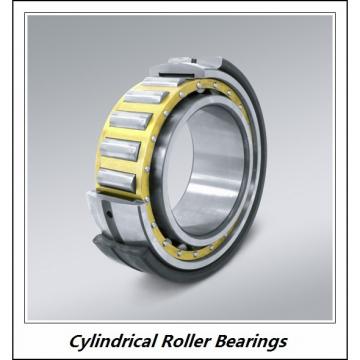 1 Inch | 25.4 Millimeter x 1.625 Inch | 41.275 Millimeter x 3 Inch | 76.2 Millimeter  CONSOLIDATED BEARING 95548  Cylindrical Roller Bearings